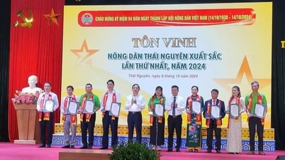 Thai Nguyen honra a 9 agricultores destacados, uno de los cuales logró ingresos de 23,9 mil millones de VND/año