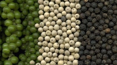 Đà tăng được củng cố, hướng về mức giá 150.000 đồng/kg?