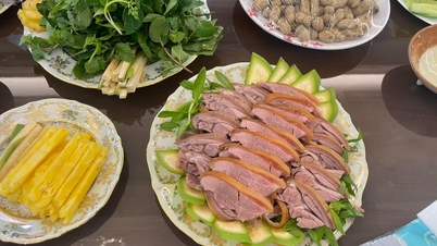 តើ​គ្រឿង​ផ្សំ​អ្វី​ខ្លះ​ត្រូវ​បាន​គេ​ប្រើ​ដើម្បី​ធ្វើ​ម្ហូប​ពពែ​ដ៏​ល្បី​របស់ Ninh Binh?