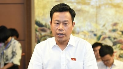大学は博士号取得者に1500万ドルしか払えないことに困っている