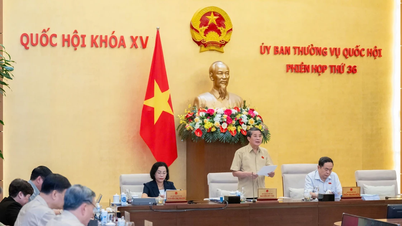 Sửa đổi Luật Tiêu chuẩn và Quy chuẩn kỹ thuật để phù hợp với các cam kết trong FTA