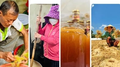 Kỳ công biến mạ non thành mạch nha, đặc sản vang danh của người dân Quảng Ngãi