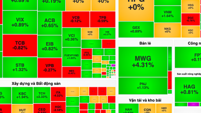 Khối ngoại quay đầu gom hàng MWG, VN-Index tăng mạnh vào cuối phiên