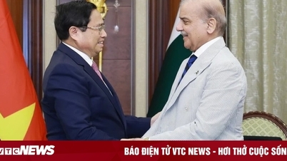 Thủ tướng Phạm Minh Chính gặp Thủ tướng Pakistan Shehbaz Sharif