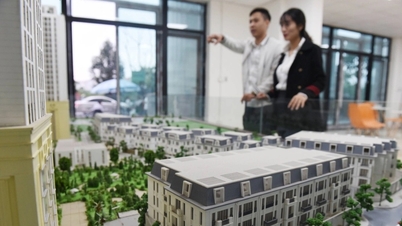 "Hết cửa" cho môi giới bất động sản hoạt động tự do