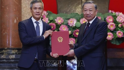 Tổng Bí thư, Chủ tịch nước trao quyết định bổ nhiệm Đại sứ, Trưởng đại diện Việt Nam ở nước ngoài