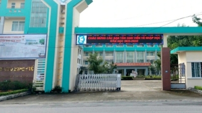 Vụ 120 sinh viên chưa được cấp bằng: Quảng Nam đưa ra giải pháp khẩn