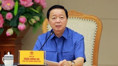 Khởi công xây cầu Phong Châu trong tháng 12/2024