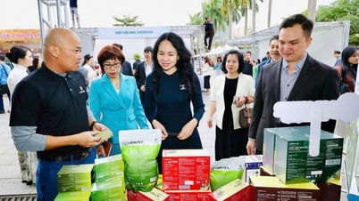 Phát triển thương mại điện tử: Cần cân nhắc đến yếu tố phát triển bền vững