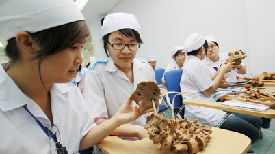 Nguồn tuyển khối B tăng mạnh