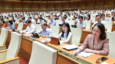 Quốc hội Việt Nam phê chuẩn văn kiện gia nhập Hiệp định CPTPP của Anh