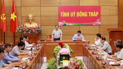 Thủ tướng Chính phủ Phạm Minh Chính: Đồng Tháp cần tiên phong, kiểu mẫu trong xây dựng nông thôn hiện đại