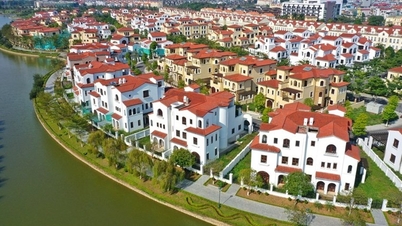 Sudico đổi tên thành SJ Group, phát triển loạt dự án với tiêu chí mới