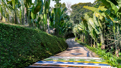 Revealing the American billionaire group that flew by helicopter to Ha Giang, booked the entire resort