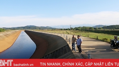 Đồng ruộng “khát” bên dòng Ngàn Trươi