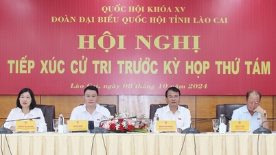 អ្នកបោះឆ្នោតចាប់អារម្មណ៍ជាពិសេសលើវិស័យធនធានធម្មជាតិ និងបរិស្ថាន។