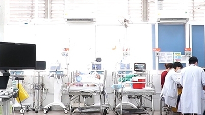 Number of victims hospitalized after eating chicken rice in Nha Trang increased by more than 200 people