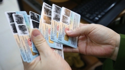 Wissenswertes zur Neuausstellung von Personalausweisen ab 1. Juli 2024