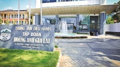 นักลงทุน 3 รายยืนยันซื้อหุ้น 130 ล้านหุ้นของ Hoang Anh Gia Lai
