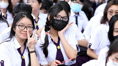 TP.HCM tuyển bổ sung hơn 500 học sinh vào lớp 10 chuyên, tích hợp