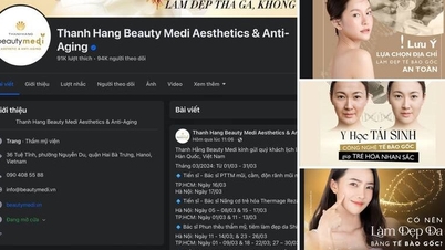 Thanh Hằng Beauty Medi doanh thu trăm tỉ đồng, lỗ lũy kế hàng chục tỉ đồng