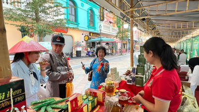 Chùm ảnh: Sôi động sản phẩm OCOP vùng miền tại triển lãm VIETNAM OCOPEX