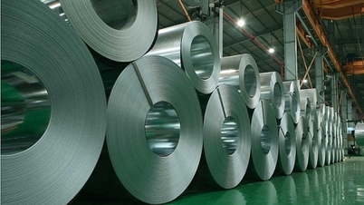 Reducing risks for Vietnamese export goods