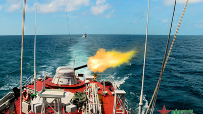 Naval Region 5 tests live-fire at sea
