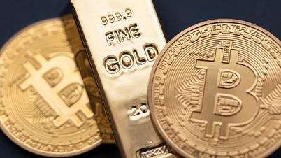 Bitcoin លើសមាសនៅក្នុងផលប័ត្ររបស់អ្នកវិនិយោគជាច្រើន។