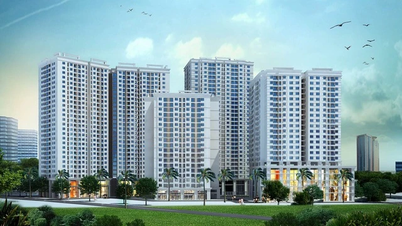 Giá căn hộ chung cư tiếp tục tăng