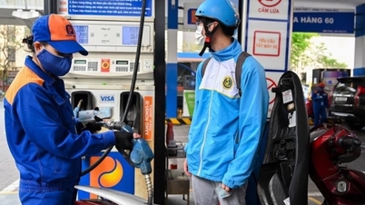 Giá dầu giảm 2% khi OPEC cắt giảm triển vọng tăng trưởng