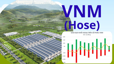 VNM ត្រលប់មកកំពូលទាំង 10 ជាមួយនឹងមូលធននីយកម្ម 6.4 ពាន់លានដុល្លារ តើអ្នកវិនិយោគគួរយកចិត្តទុកដាក់លើអ្វី?