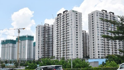 Người trong cuộc lên tiếng