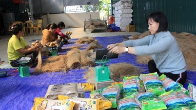 Cao Bằng: Phát triển sản phẩm OCOP gắn với du lịch nông thôn