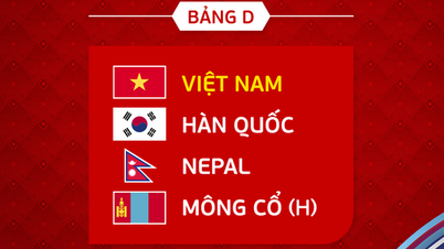Việt Nam vào bảng đấu thuận lợi ở giải futsal châu Á