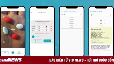 VinUni nhận giải ISCN Excellence Awards về phát triển bền vững