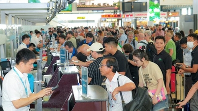Những đường bay nội địa nào có giá vé cao nhất?