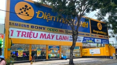 ហាង Dien May Xanh នៅទីក្រុង Thu Duc មានទូរស័ព្ទដៃទំនើបចំនួន ៨គ្រឿង ត្រូវបានចោរលួច