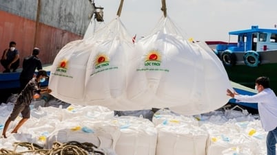 Xuất khẩu gạo sang thị trường Trung Quốc và những lưu ý cho doanh nghiệp Việt