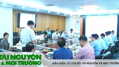 Thẩm định đề án thăm dò khoáng sản tại Hòa Bình, Lào Cai và Nghệ An