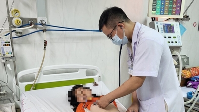 Ẩn họa độc tố từ những cây nấm tự nhiên