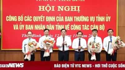 លោក Nguyen Minh Hong ជាប្រធានមន្ទីរព័ត៌មាន និងទំនាក់ទំនងខេត្ត Thai Binh។