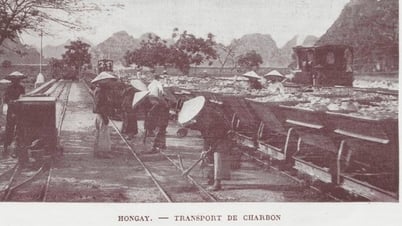 តើធ្យូងថ្មត្រូវបានរកឃើញ និងធ្វើអាជីវកម្មនៅ Quang Ninh ប្រទេសវៀតណាមនៅពេលណា?