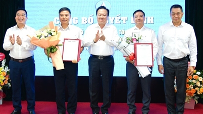 Bổ nhiệm nhiều lãnh đạo chủ chốt ở VEC