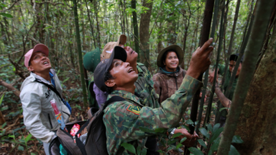 WWF สนับสนุนจังหวัดกวางตรีเพื่อส่งเสริมห่วงโซ่อุปทานหวายที่ยั่งยืน