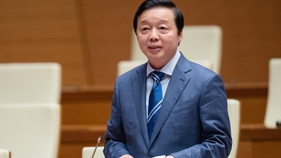 Deputy Prime Minister Tran Hong Ha as Deputy Head of the COP26 Steering Committee