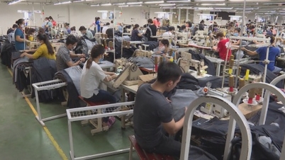 7 Gründe für die geringe Wettbewerbsfähigkeit von Unternehmen in Ho-Chi-Minh-Stadt