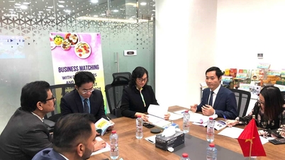 High-level meeting between Deputy Minister Phan Thi Thang and Lulu Group leaders