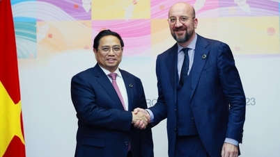 Prime Minister Pham Minh Chinh meets President of the European Council Charles Michel