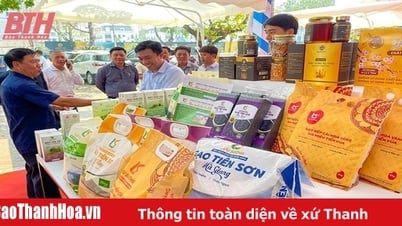 Đa dạng sản phẩm nông nghiệp tiêu biểu